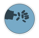 tác dụng của bảo huyết khang